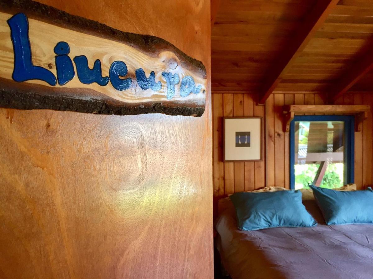 Hostel Raiz Pucón Dış mekan fotoğraf