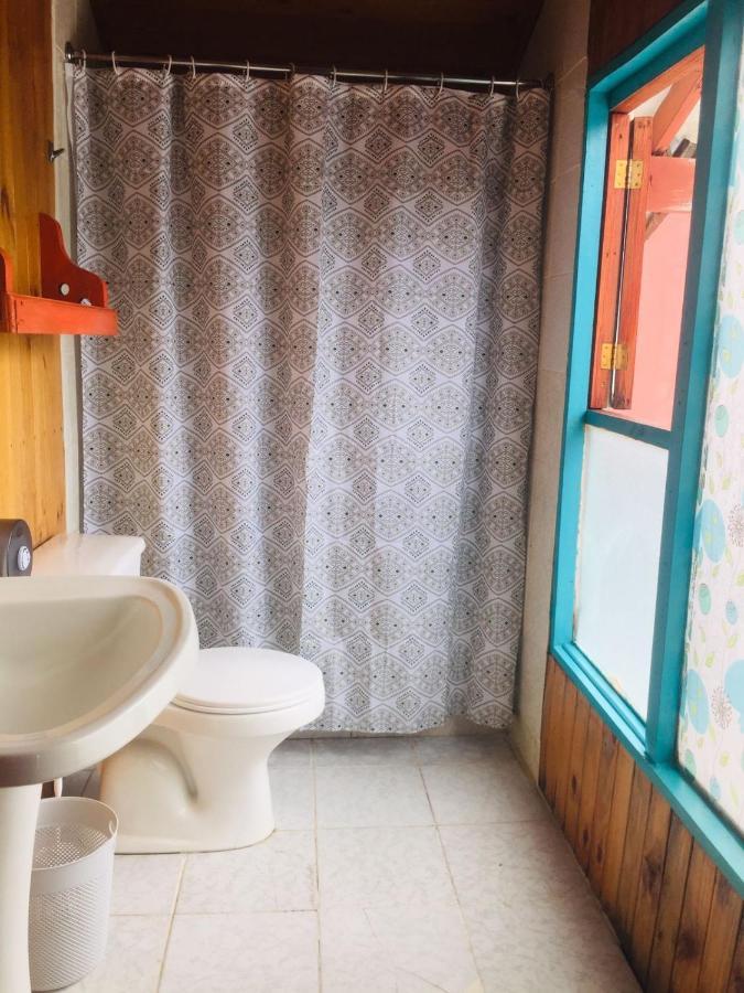 Hostel Raiz Pucón Dış mekan fotoğraf