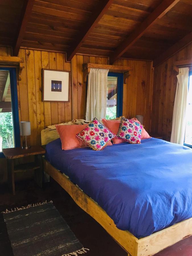 Hostel Raiz Pucón Dış mekan fotoğraf