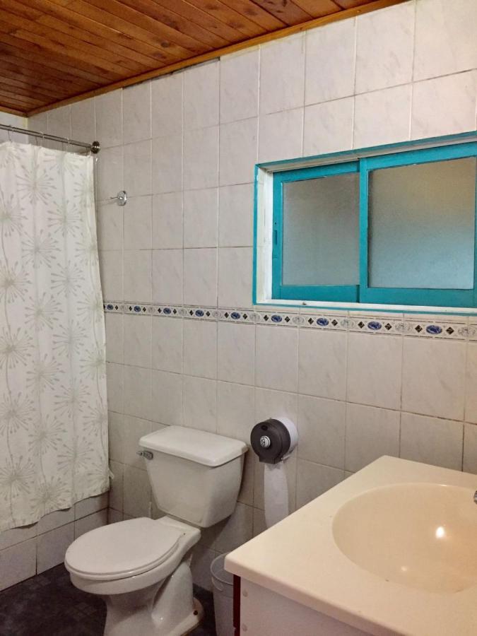 Hostel Raiz Pucón Dış mekan fotoğraf