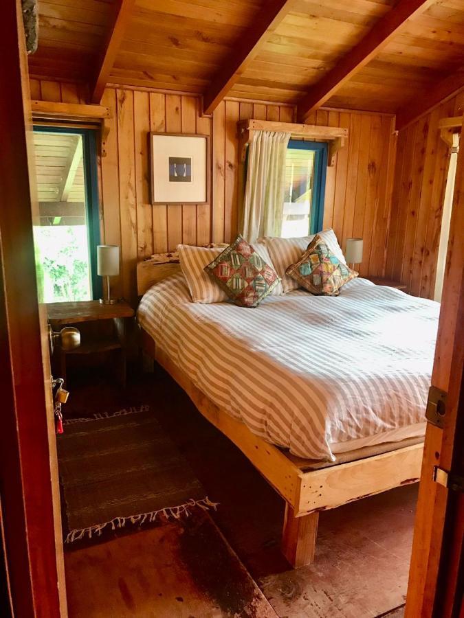 Hostel Raiz Pucón Dış mekan fotoğraf