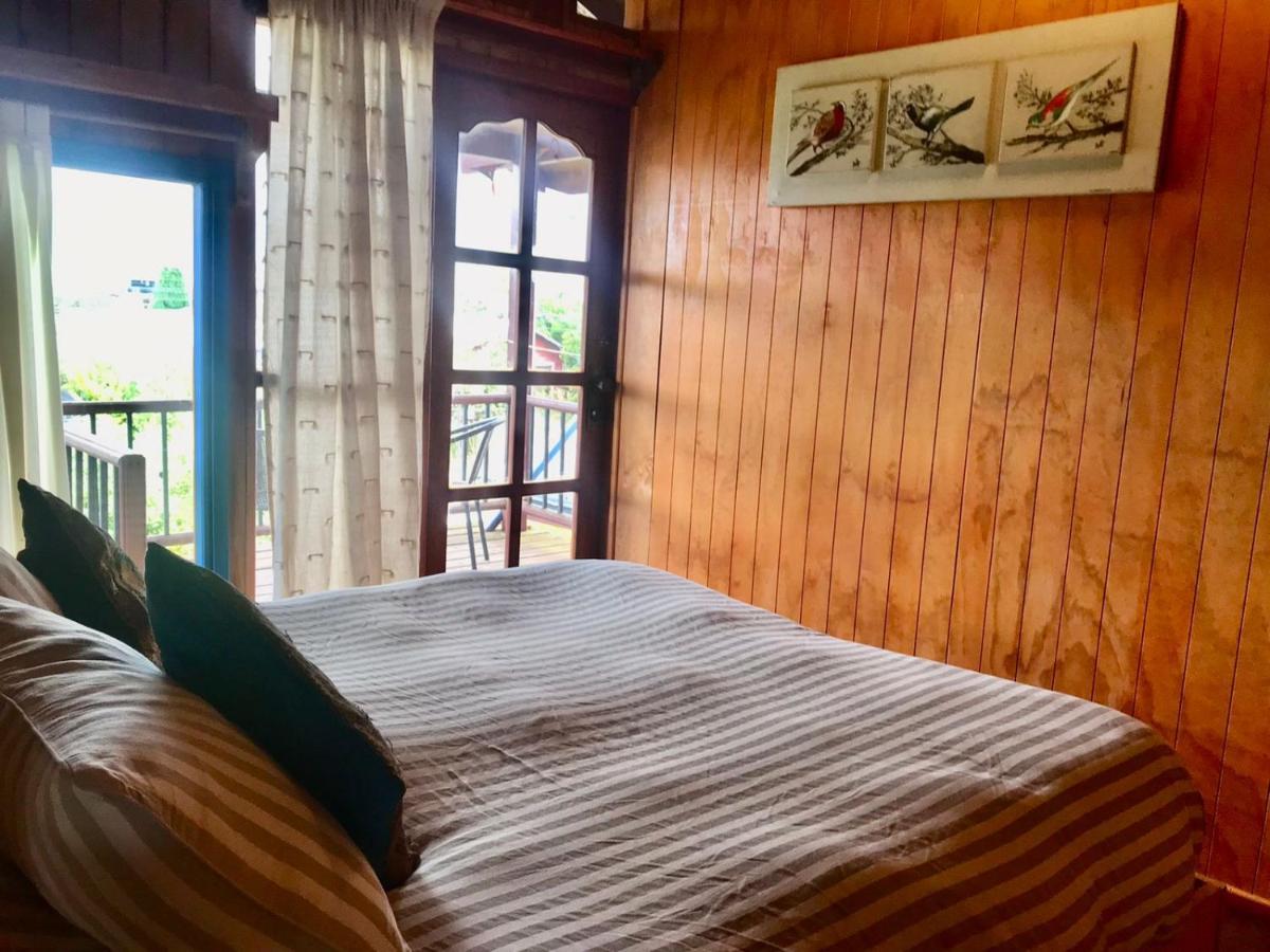 Hostel Raiz Pucón Dış mekan fotoğraf